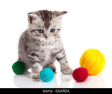 Gattino con sfere di thread. piccolo gattino il whi Foto Stock