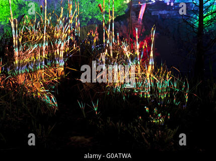 Luci di stazionamento accesa al Grugapark,Essen, Germania Foto Stock