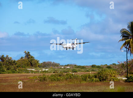 Aeroplano di atterraggio su una banda di atterraggio tra palm tree Foto Stock