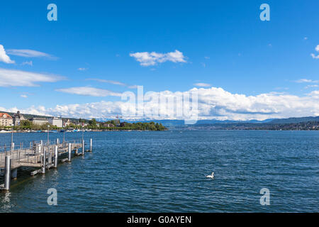 Vista panoramica del lago di Zurigo e delle Alpi in una soleggiata giornata estiva con vista chiara, Zurigo, Svizzera Foto Stock