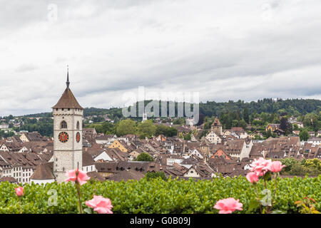 Vista di Sciaffusa città vecchia dal giardino su un giorno clooudy, Schaffhausen, Svizzera Foto Stock