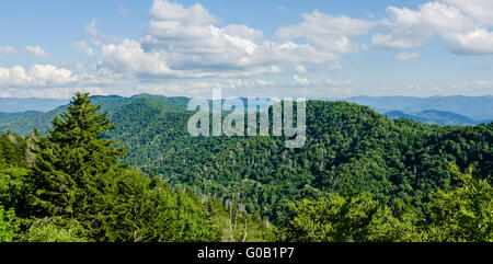 Una visione più ampia delle Great Smoky Mountains dalla sommità del Clingman cupola dell Foto Stock