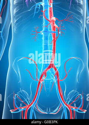 3d reso illustrazione del sistema vascolare umano Foto Stock