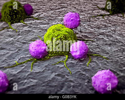 3d reso illustrazione di leucociti che attacca una cellula di cancro Foto Stock