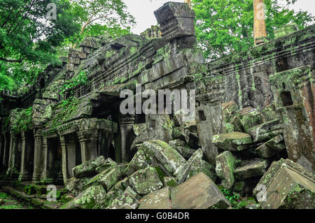 Albero gigante che copre Ta Prom e Angkor Wat, Siem Reap, Cambogia Foto Stock