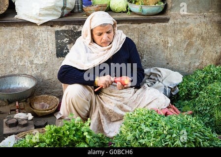 Rajasthani donna vendita di verdura in Udaipur market Foto Stock