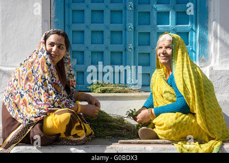 Due donne di Rajasthani in abito tradizionale sulla raccolta a domicilio i ceci da filiali Foto Stock