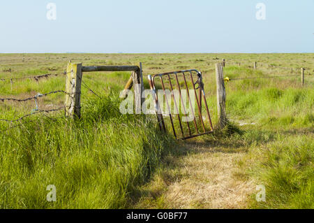 La Hallig Langeneß nel mare di Wadden Foto Stock