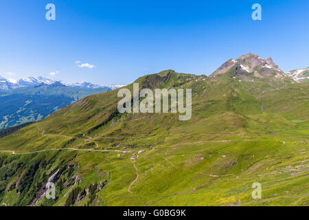 Panorama delle Alpi svizzere su Oberland Bernese da Grindelwald prima in estate, Switzwerland. Foto Stock