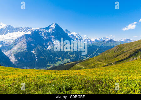 Panorama di Eiger, Monch e altre cime delle alpi svizzere vicino a Grindelwald, Svizzera. Foto scattata in estate in una giornata di sole Foto Stock