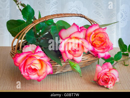 Grande e bel rose con foglie in un crogiolarsi in vimini Foto Stock