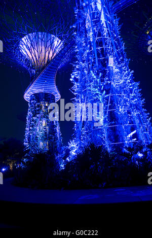 Supertrees nel nuovo giardino botanico , Singapor Foto Stock
