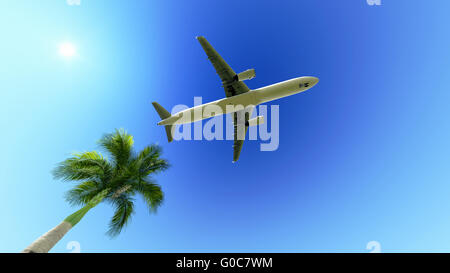 Aeroplano sopra il palm tree Foto Stock
