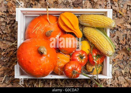 Frutta di autunno Foto Stock