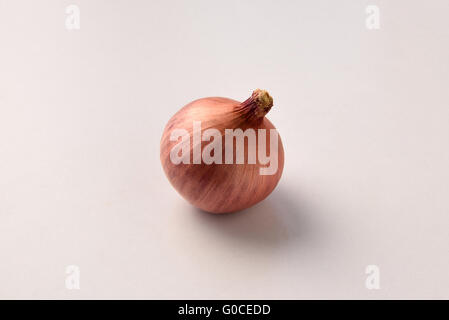 Onion su sfondo bianco Foto Stock