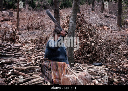 Una donna locale trinciatura di legno con un machete in un ambiente rurale nelle township e comune di Jocotenango in Guatemala America Centrale Foto Stock
