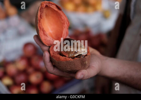 Un open Pouteria sapota, mamey sapote frutta tropicali nativo di Messico e America Centrale al Mercado Central il principale mercato comunale di Antigua in una città negli altipiani centrali del Guatemala America Centrale Foto Stock