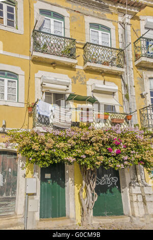 Vivace Terrazza case di Belem Lisbona Portogallo Foto Stock