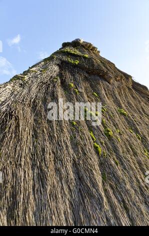 Moss cresciuto con tetto di paglia di un vino premere house Foto Stock