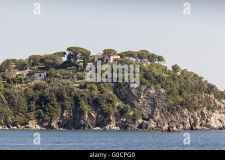 Costa mediterranea e palme vicino a cavo, Elba Foto Stock