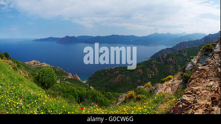 Vista panoramica del golfo di Porto - Corsica Foto Stock