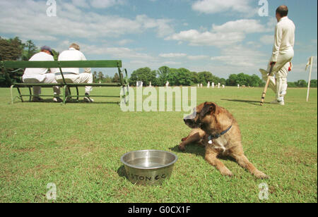 Manderston Cricket Club in Scottish Borders. Foto Stock