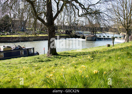 In riva al fiume lungo la camma Foto Stock