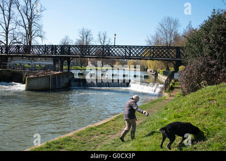 Uomo che cammina il suo cane lungo il fiume Cam in Cambridge Foto Stock