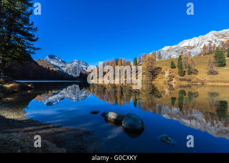 Splendida veduta del lago di Palpuogna con golden larice, il picco del Piz Ela e bella riflessione in autunno, Canton Grigioni Foto Stock