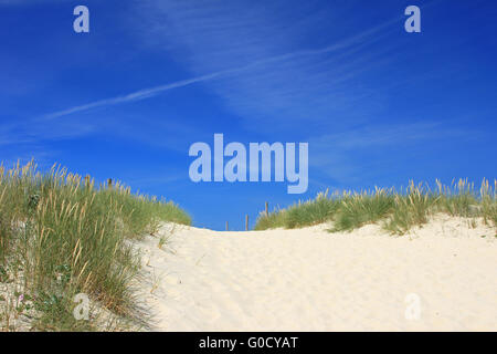 Spiaggia in Bretagna, Francia Foto Stock