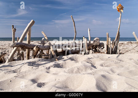 Flotsam su Darss in Germania Foto Stock