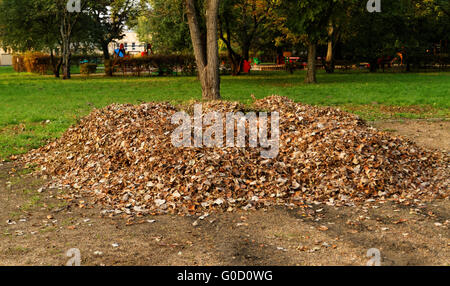 Pila caduto foglie di autunno nel parco Foto Stock