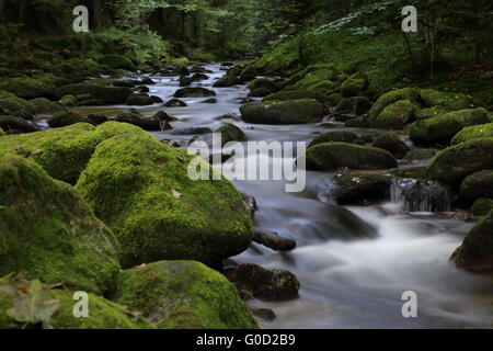 Le rocce in piccolo fiume o creek con acqua corrente Foto Stock