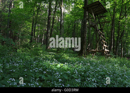 Deerstand, Giura Svevo, Germania Foto Stock