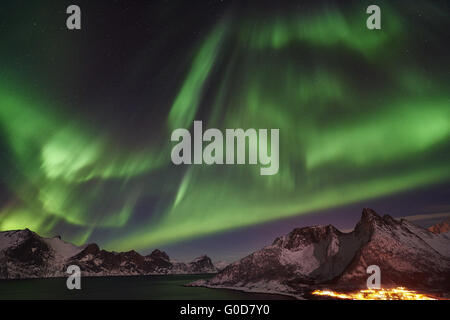 Luci del Nord (l'Aurora boreale, Senja, Norvegia Foto Stock