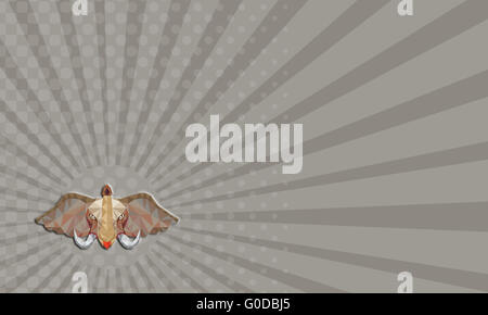 Business card testa Elephant Brosmio bassa poligono Foto Stock