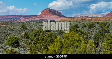 Dei paesaggi del deserto dello Utah con montagne di sabbia Foto Stock