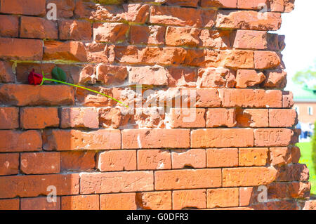 Fortezza di Brest, Brest, Bielorussia. Si tratta di uno dei sovietici Guerra Mondiale II Guerra monumenti commemorativi della resistenza sovietica contro t Foto Stock