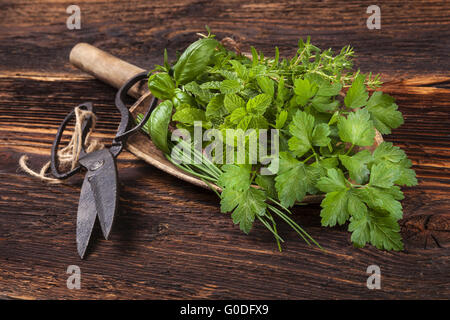 Varie aromatiche erbe culinarie, stile rustico. Foto Stock