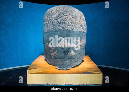 Olmec Colossal Head National Museum of Anthropology città del Messico // CITTÀ DEL MESSICO, Messico — Una testa colossale (Cabeza Colosal) scolpita in basalto è un capolavoro della cultura olmeca, risalente a circa il 1200-600 a.C. L'imponente scultura in pietra è uno dei manufatti più significativi ospitati al Museo Nazionale di Antropologia. Queste teste monumentali, che pesano diverse tonnellate ciascuna, furono create dalla civiltà olmeca, ampiamente considerata la prima grande civiltà della Mesoamerica. La collezione del museo comprende numerosi reperti archeologici e antropologici che rappresentano la precolonna del Messico Foto Stock