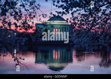 WASHINGTON, D.C., Stati Uniti: Il Jefferson Memorial si erge maestosamente contro un vibrante cielo prealba a Washington, D.C. la silhouette distintiva del monumento neoclassico contrasta drammaticamente con le sfumature colorate della mattina presto, creando una scena mozzafiato al bacino delle maree. Foto Stock