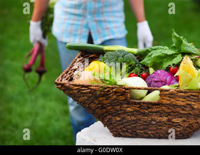 Paese uomo che indossa guanti con barbabietola fresca nelle sue mani Foto Stock