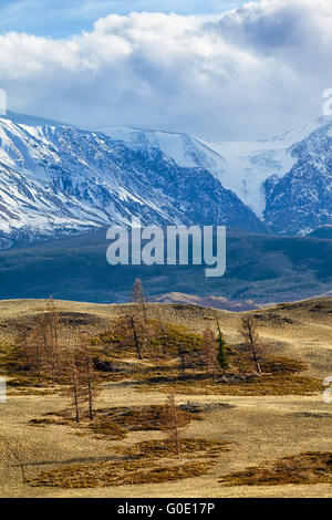 Montagne di Altai in area Kurai con Nord Chuisky Ridge sullo sfondo Foto Stock