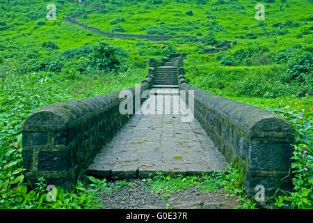 Gandhar pallido grotte buddista situato vicino a Mahad, che è vicino al fort Raigad Foto Stock