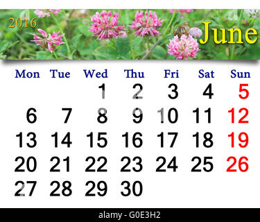 Calendario per il mese di giugno 2016 con fiori di colore rosa di trifoglio Foto Stock