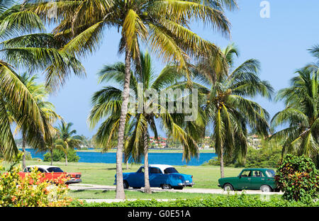 Vintage americano auto parcheggiata sotto le palme Foto Stock