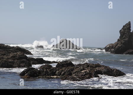 Seconda Spiaggia, Olympic Nationalpark Foto Stock