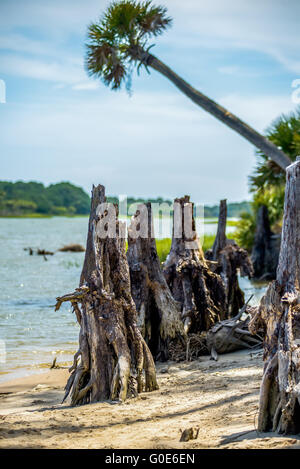 Scene di natura intorno a caccia island Carolina del Sud Foto Stock