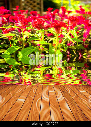 Abstract asse di legno e sullo sfondo della natura Foto Stock