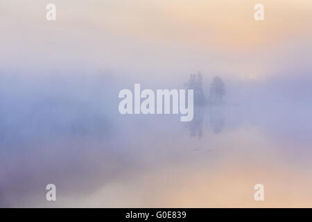 Nebbia di mattina su un lago, Lapponia, Svezia Foto Stock